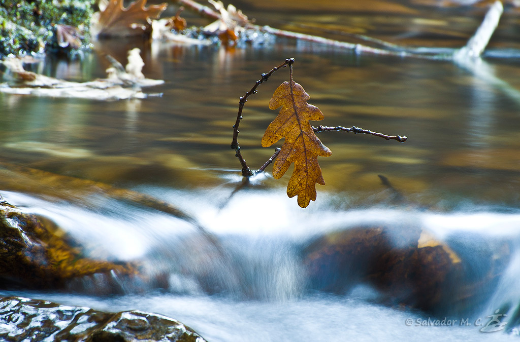 Estampa otoñal en el nacimiento del Río Riaza.