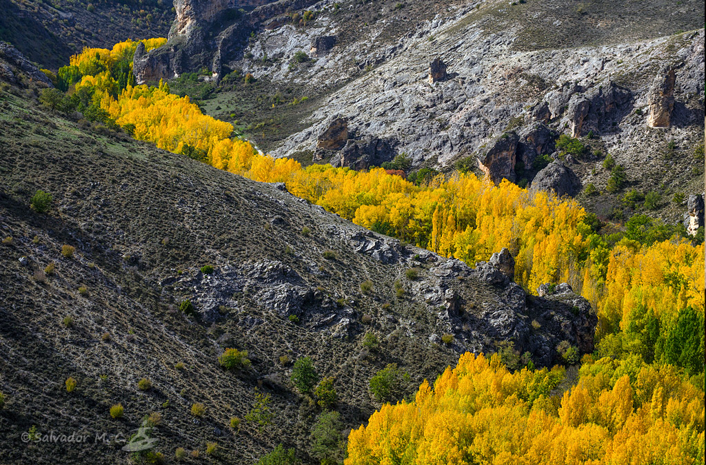 Paisaje otoñal en el Cañón del Río Dulce.