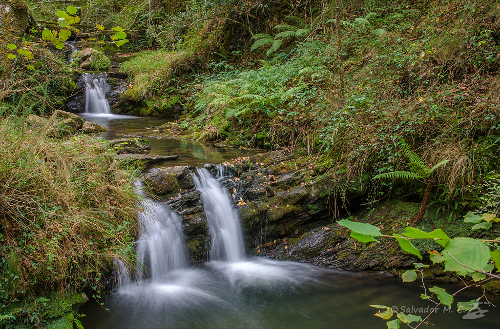 Cascada del parque natural de Saja-Besaya.