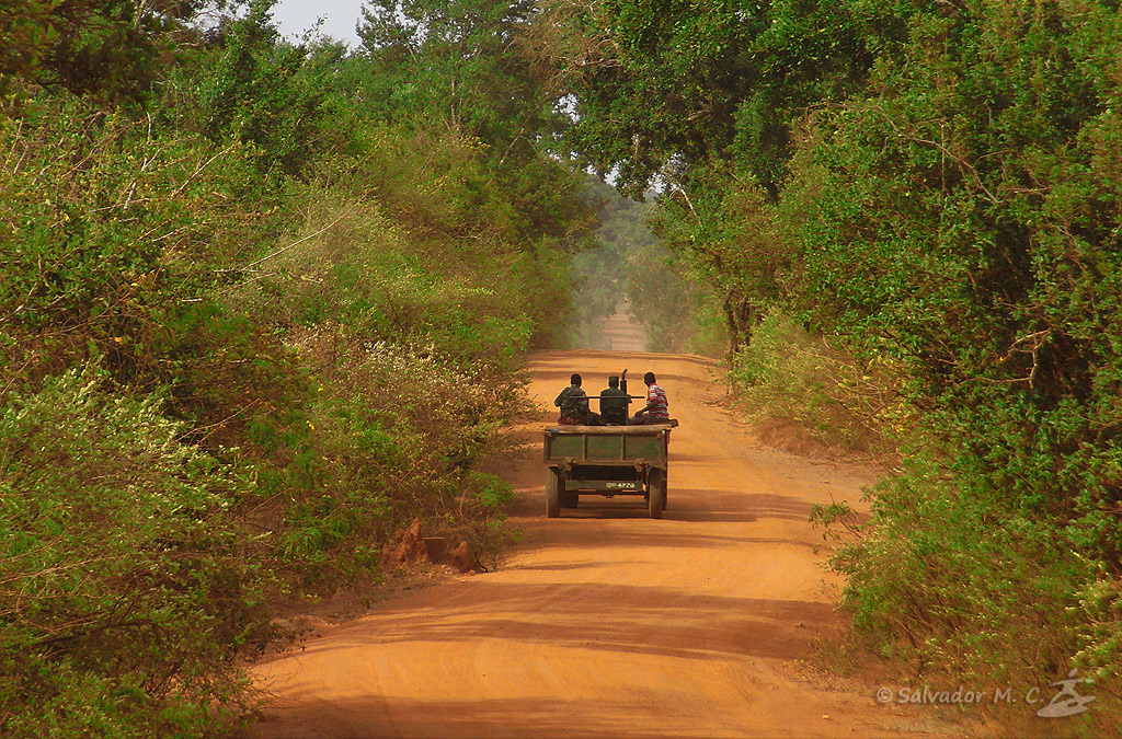 Patrulla de guardas en el Parque Nacional de Yala, Sri Lanka.